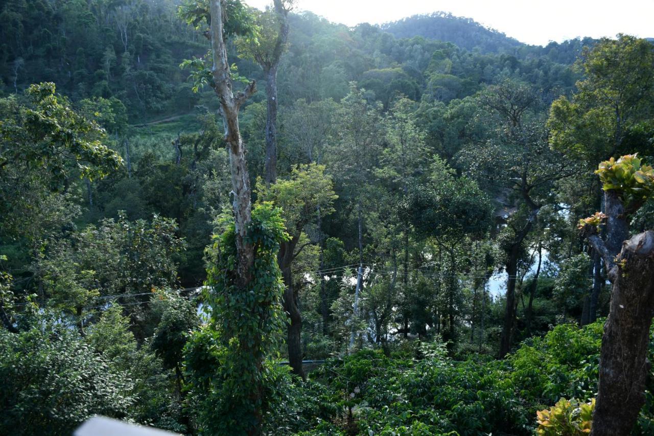 River View Guest House Madikeri Εξωτερικό φωτογραφία